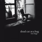 Lost Bags – Dead Cat in a Bag –