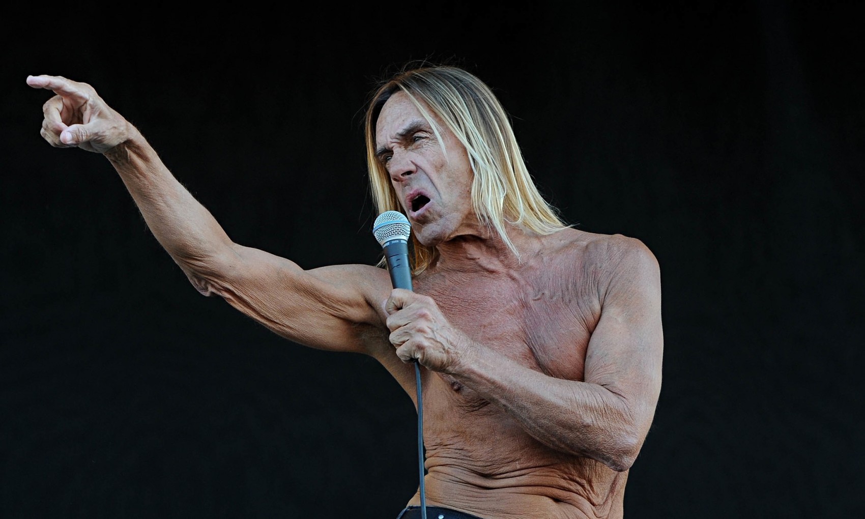 Raw power: Iggy Pop at the Isle of Wight festival in  2011.