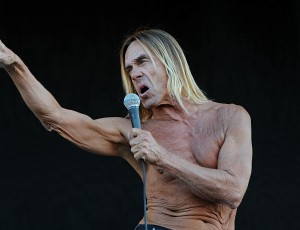 Raw power: Iggy Pop at the Isle of Wight festival in  2011.