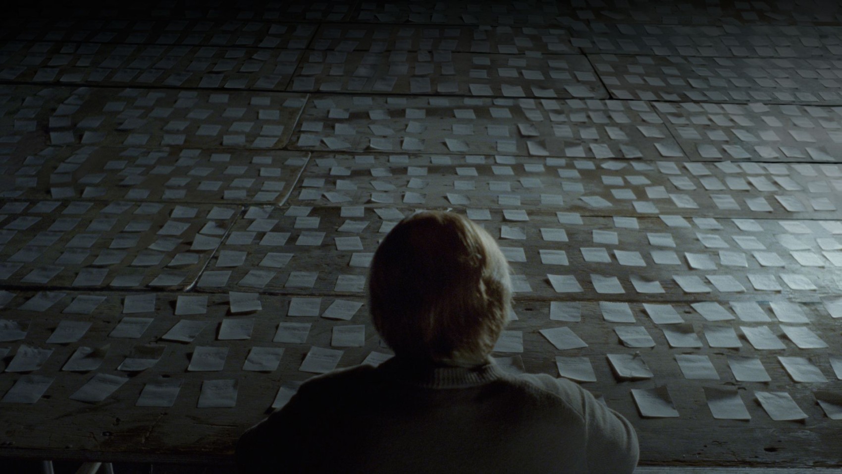 Synecdoche-NY