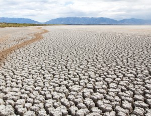 dancing on a dry salt lake