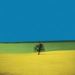 Franco Fontana: tinte accese e geometrie fluide