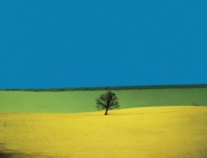 franco fontana