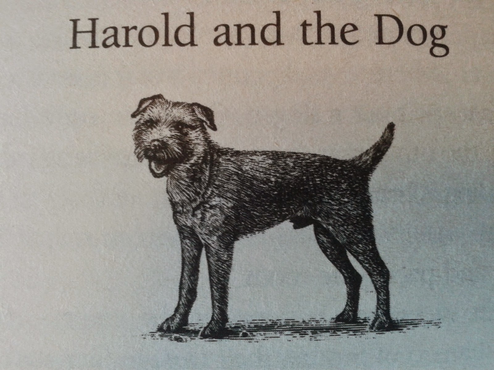 Harold Fry bok