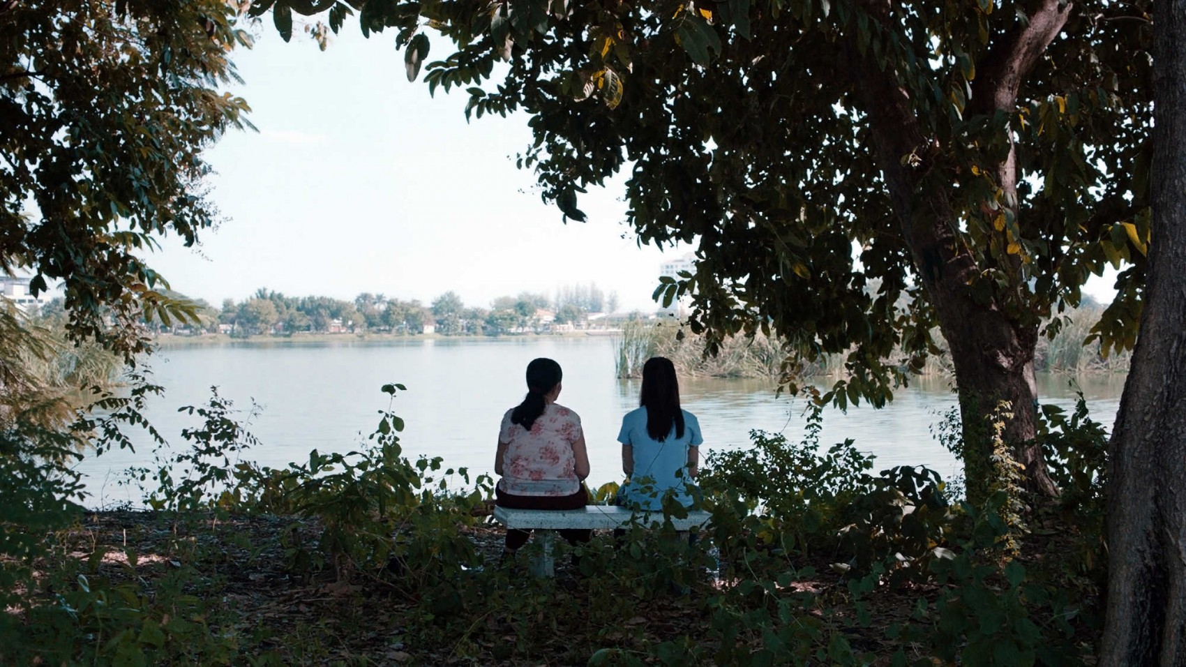 Cemetery of Splendour Apichatpong Weerasethakul