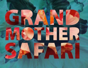 grandmother-safari-album