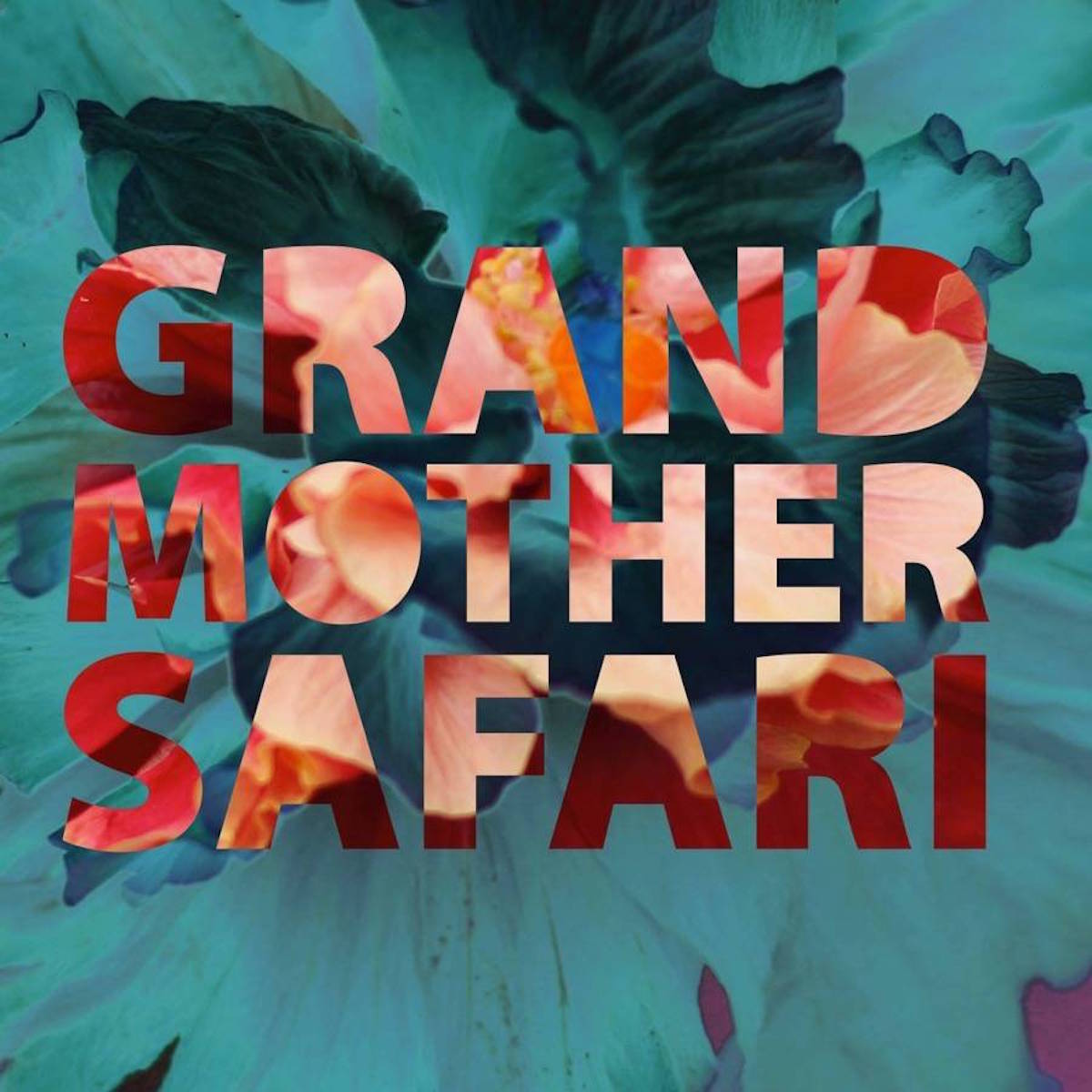 grandmother-safari-album