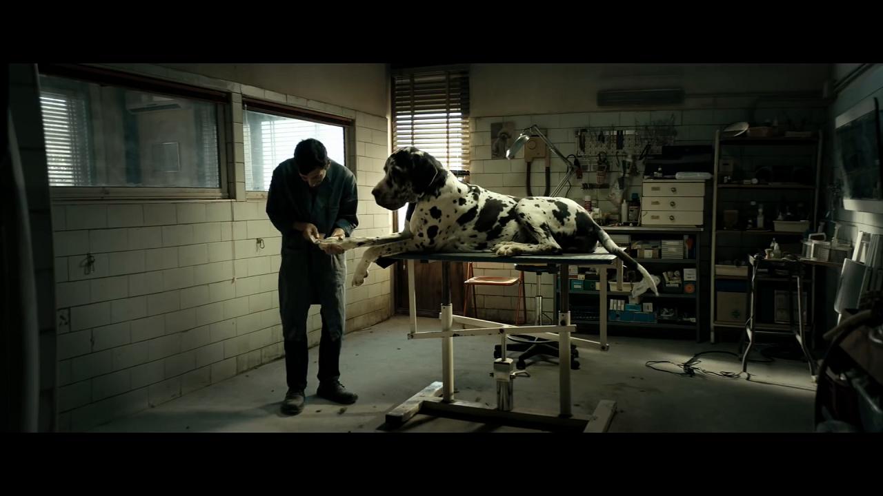434349-thumb-full-720-dogman_2018_di_matteo_garrone_tr