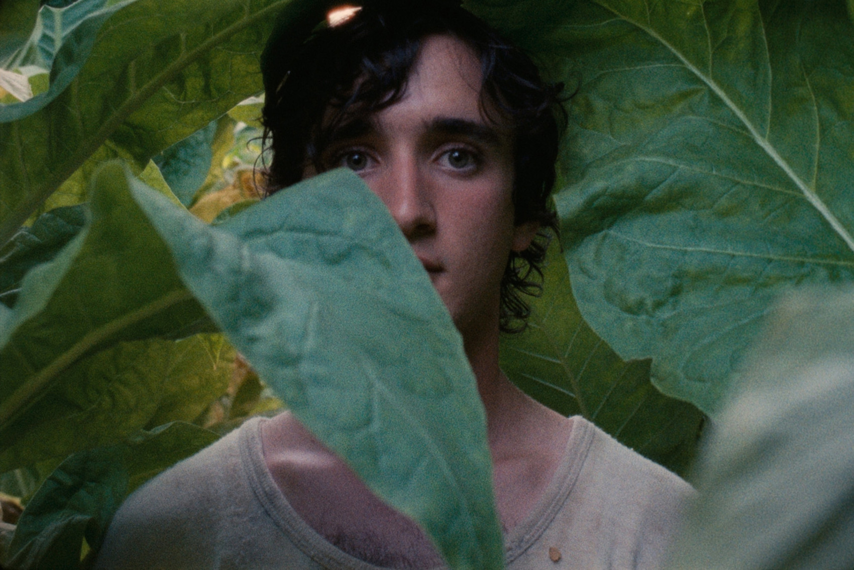 LAZZARO-FELICE-di-Alice-Rohrwacher-_-nella-foto-Adriano-Tardiolo