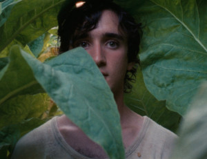 LAZZARO-FELICE-di-Alice-Rohrwacher-_-nella-foto-Adriano-Tardiolo