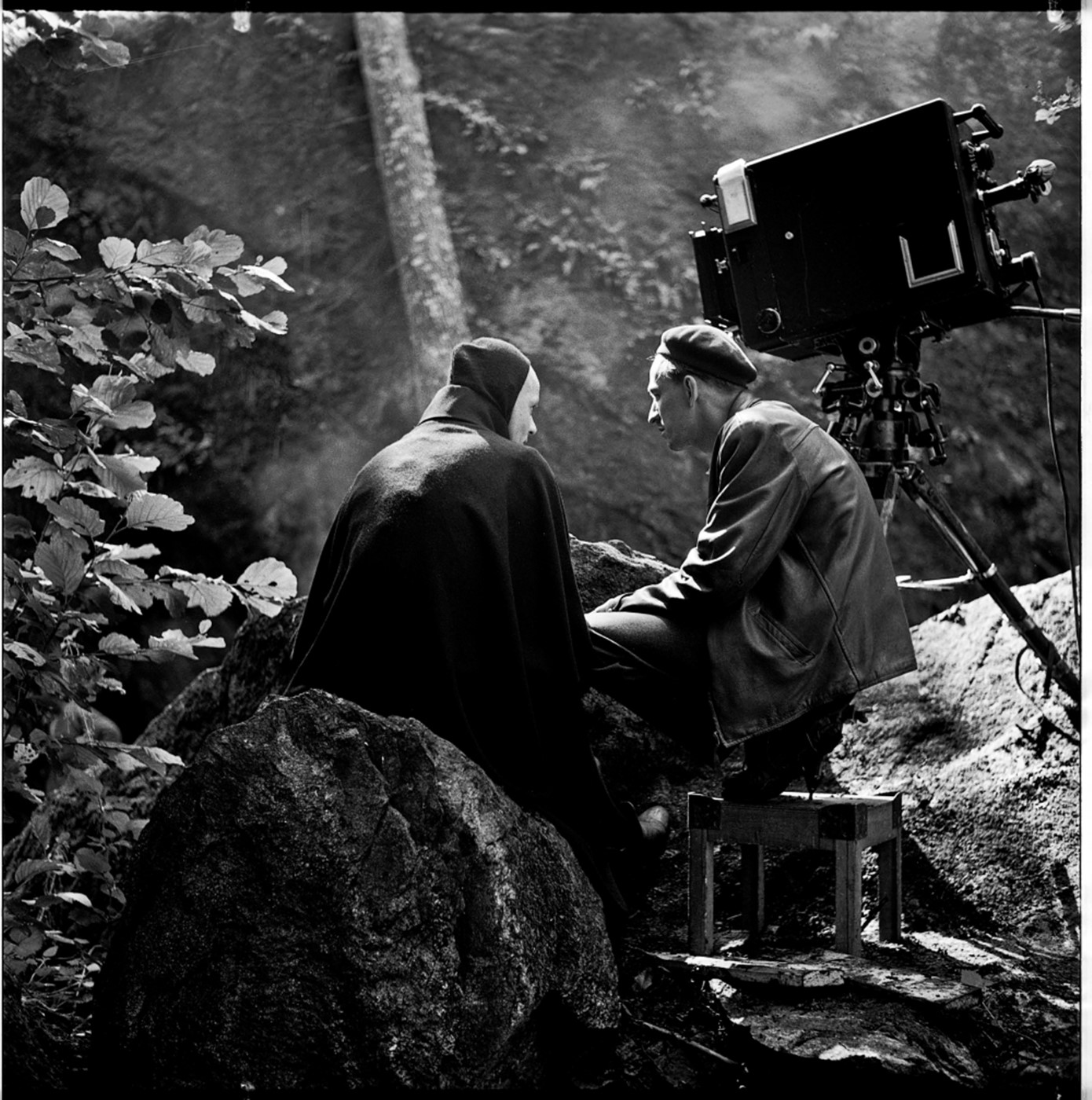 Bergman-a-year-in-a-life-2018-Jane-Magnusson-004