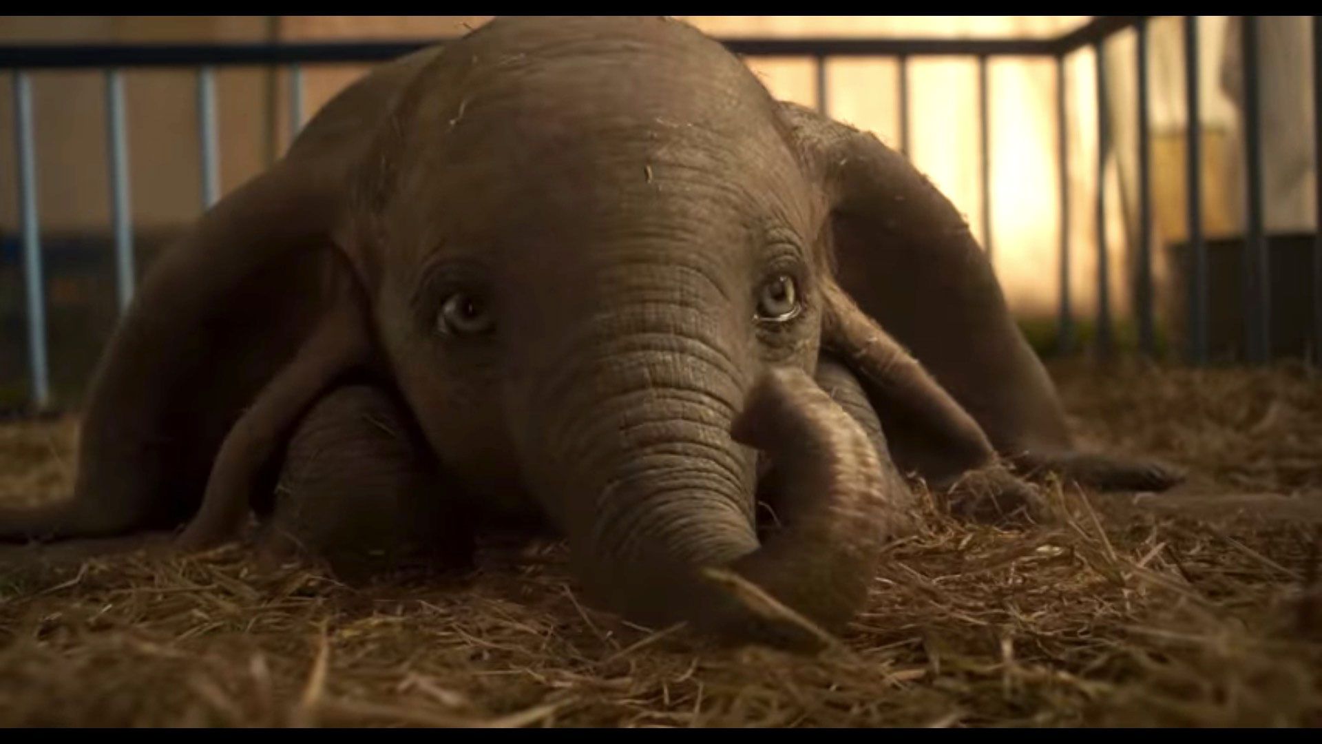 dumbo-trailer-1542265731